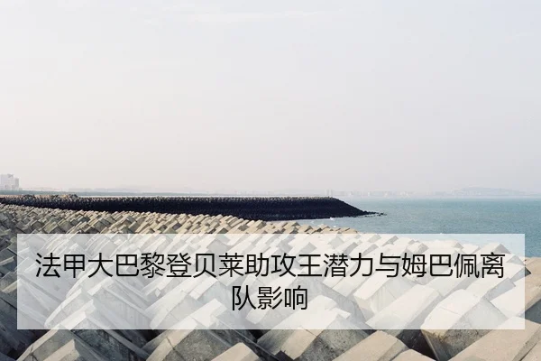fa-jia-da-ba-li-deng-bei-lai-zhu-gong-wang-qian-li-yu-mu-ba-pei-li-dui-ying-xiang-2-162.jpg
